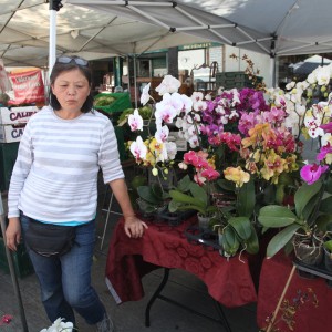 Mary's orchids are gorgeous. Did you know the white ones are called the Ama (grandmother) orchids? She's the O.G.